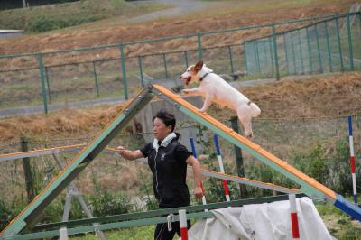 20120526c.jpg