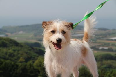 20120527a.jpg