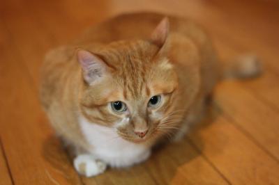 20120606a.jpg