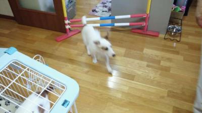 20120704g.jpg