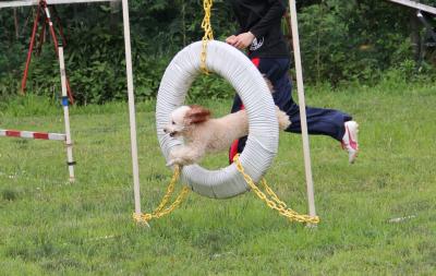 20120707d.jpg