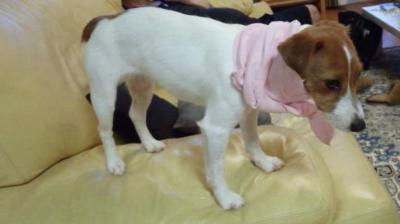 20120717e.jpg