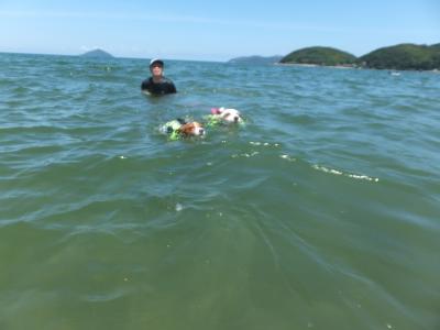 20120730b.jpg