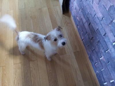 20120814c.jpg