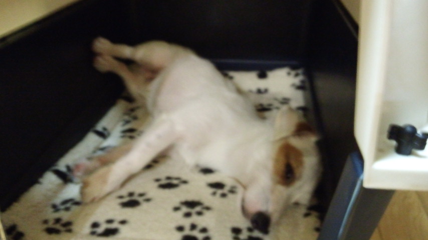 20120824c.jpg