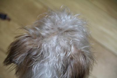20120829c.jpg
