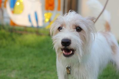 20120904e.jpg