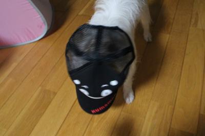 20120927c.jpg