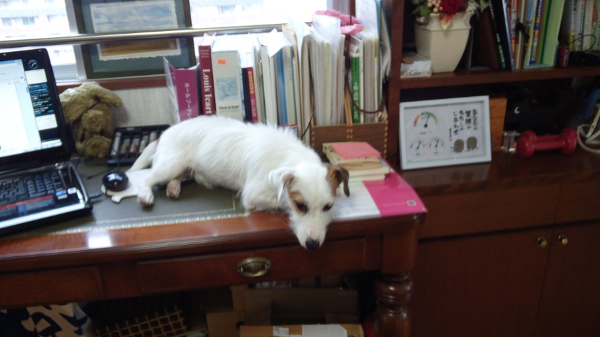 20121003b.jpg
