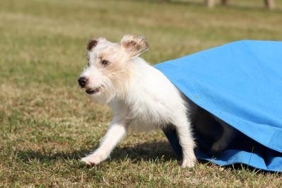 20121013b.jpg