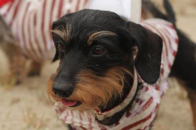 20121014c.jpg