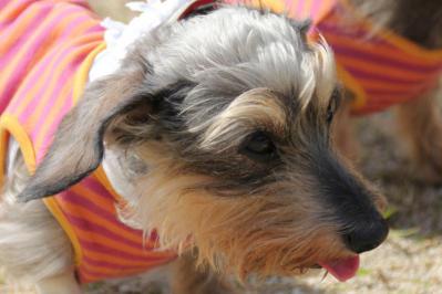 20121014f.jpg