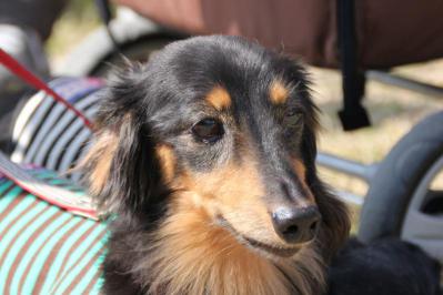 20121014g.jpg