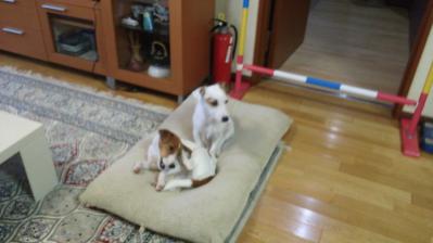 20121026d.jpg