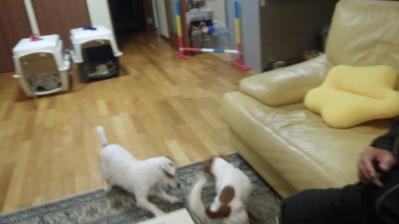 20121027b.jpg