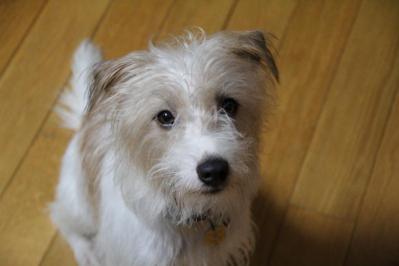 20121029d.jpg