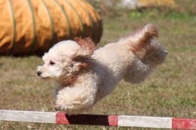 20121103f.jpg