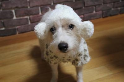 20130114a.jpg