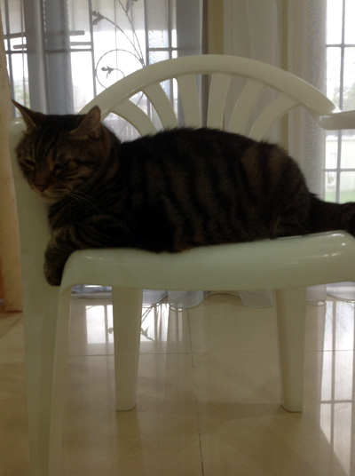 130320-issho1.jpg
