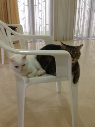 130320-issho5r.jpg