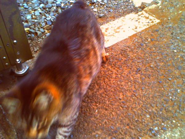 600dh130407_convert_20130407204342.jpg
