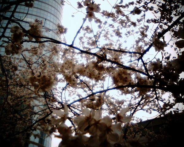 600vq130327_convert_20130327200957.jpg