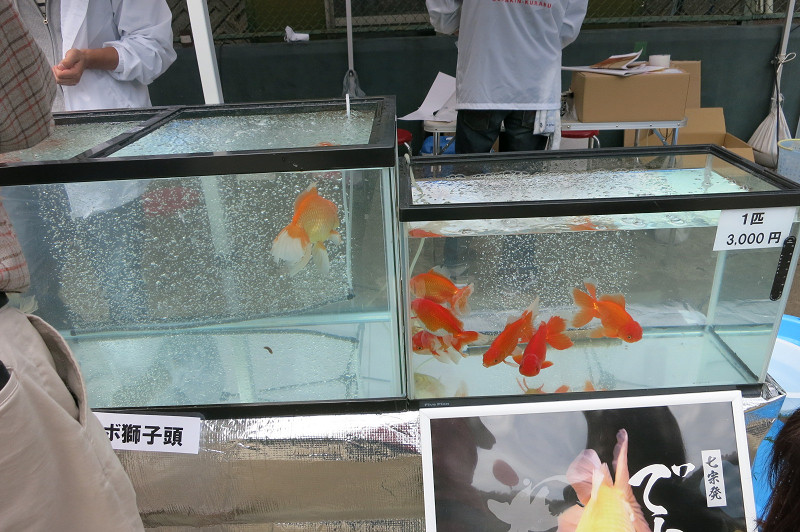 resize000238.jpg