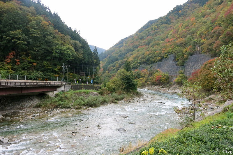 resize000249.jpg