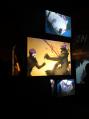 DSC00382.jpg