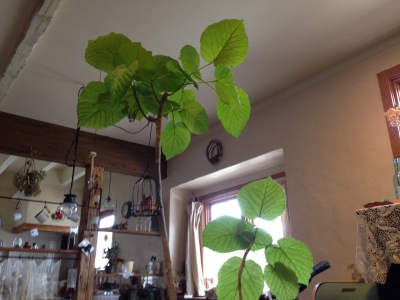 201402121243248a5.jpg