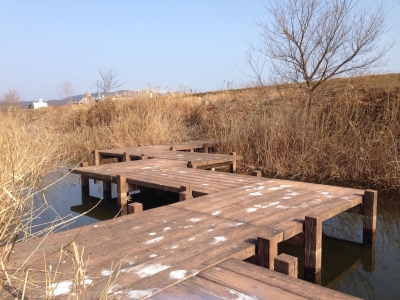 20140216112749887.jpg