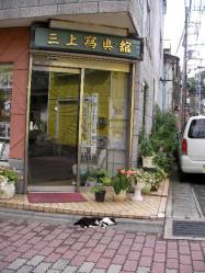 三崎商店街