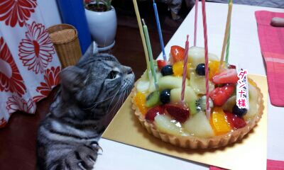 たべたい