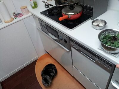 rps20130424_074724.jpg