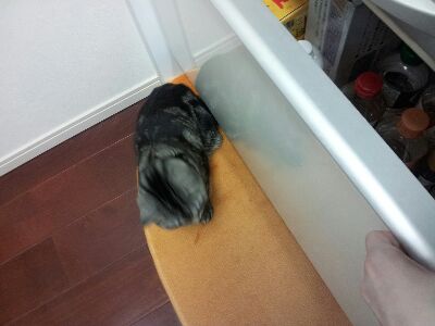 rps20130424_074743.jpg