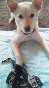 201207010932001.jpg