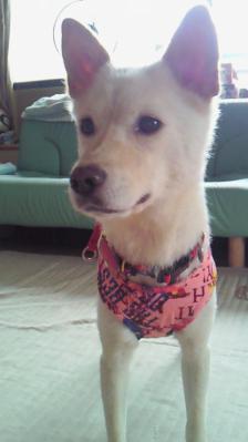 201207050835001.jpg