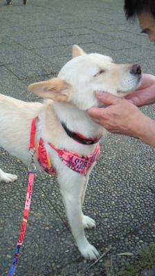 201207081732001.jpg