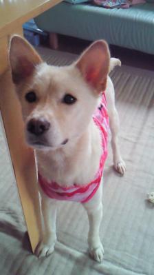 201207200733001.jpg
