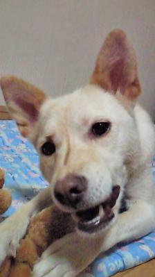 201208241849000.jpg