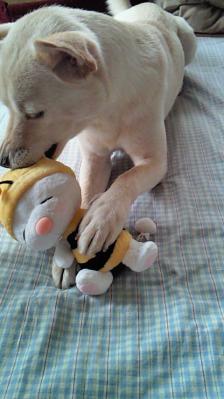 201208281154000.jpg