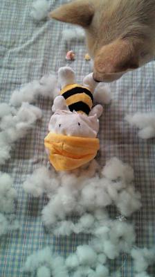 201208281204000.jpg