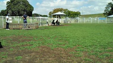 201209041108000.jpg