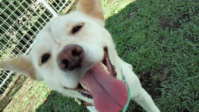 201209041108001.jpg
