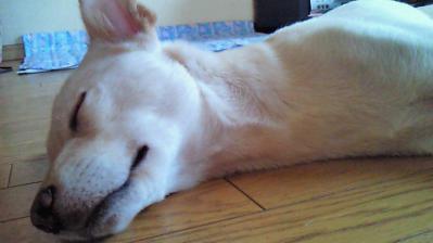 201209070922000.jpg