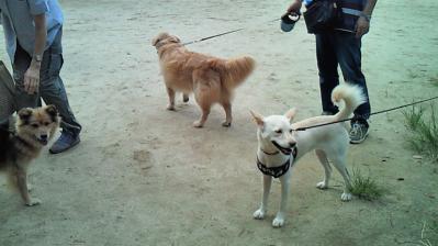 201209090647000.jpg