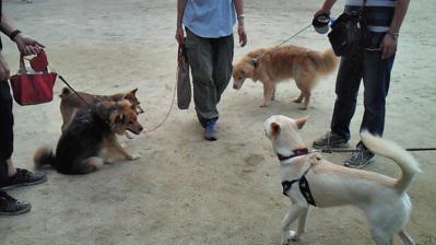 201209090647001.jpg
