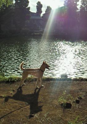 201209170708000a.jpg