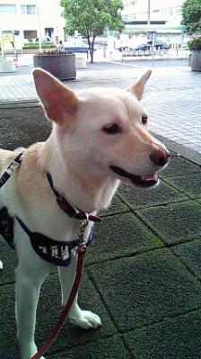 201209251457001.jpg