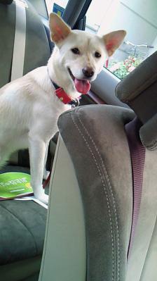 201209301323000.jpg